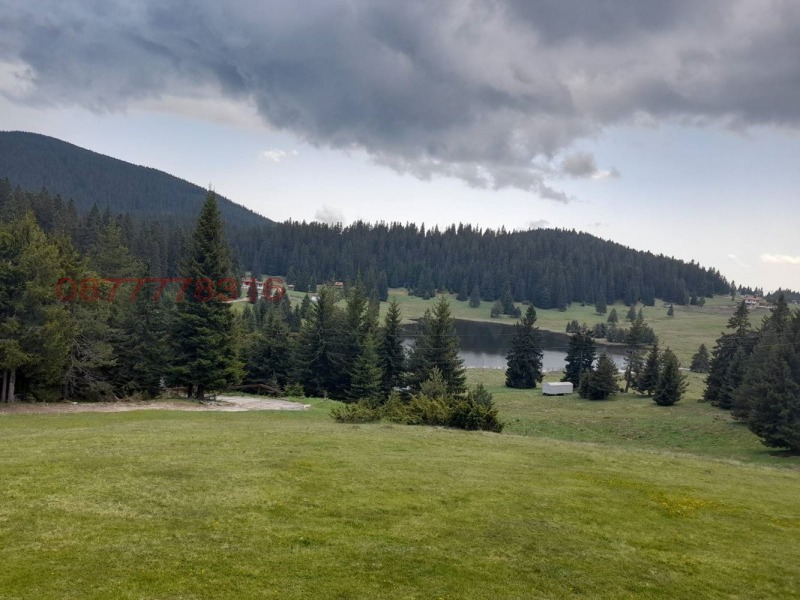 Продава ПАРЦЕЛ, област Смолян, с. Кутела • по договаряне • 31267001 1 — Holmes.bg Продава ПАРЦЕЛ, област Смолян, с. Кутела • по договаряне • 31267001 1