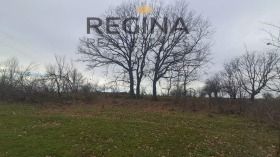 ПАРЦЕЛ, 1 299 m2 - Holmes.bg ПАРЦЕЛ, 1 299 m2