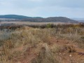 Продава Земеделска земя област Стара Загора , с. Малка Верея , 1.2 дка | 91907923 — Imoti.com Продава Земеделска земя област Стара Загора , с. Малка Верея , 1.2 дка | 91907923