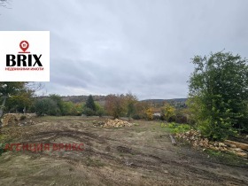 Обява Продава ПАРЦЕЛ,с. Писанец, област Русе