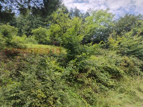 ПАРЦЕЛ, 1 009 m2 - Holmes.bg ПАРЦЕЛ, 1 009 m2