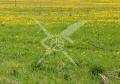 Продава Парцел област Пловдив , с. Царацово , 5999 кв.м | 75115712 — Imoti.com Продава Парцел област Пловдив , с. Царацово , 5999 кв.м | 75115712
