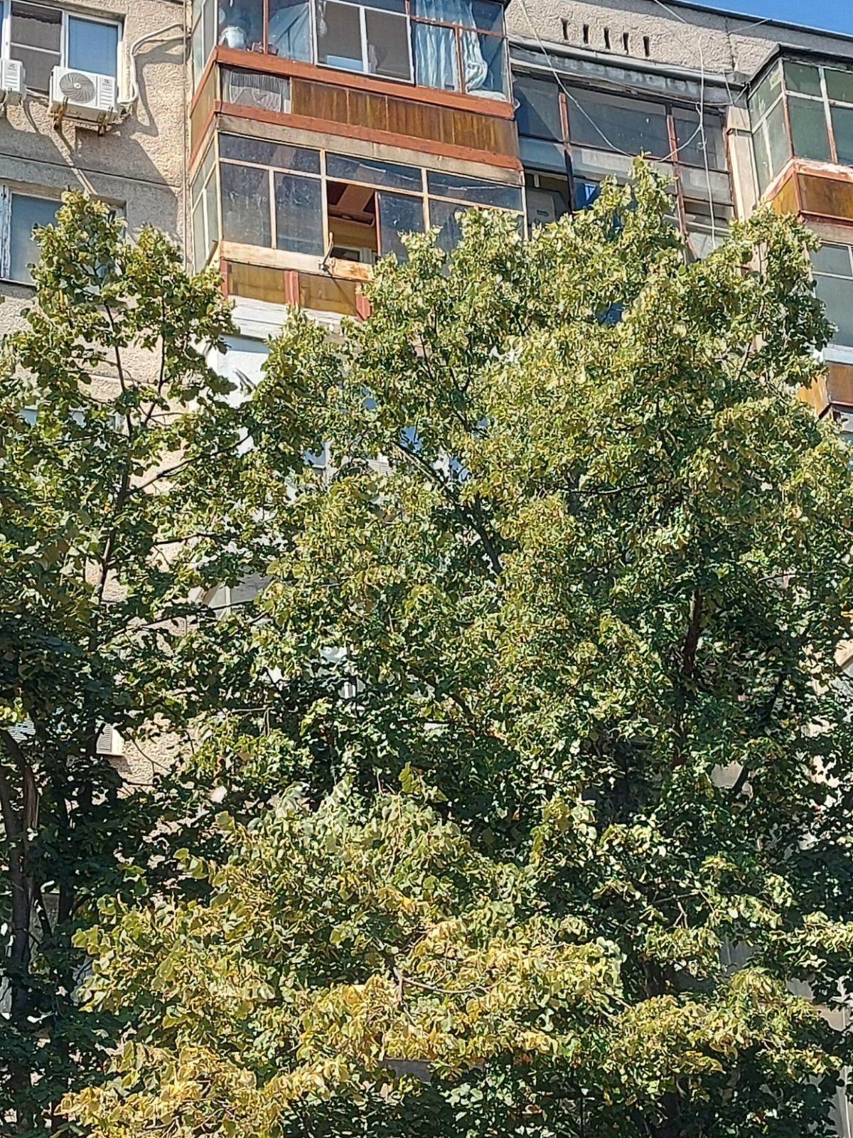Продава 2-стаен град Русе , Здравец Изток , 60 кв.м | 22925459 — Imoti.com Продава 2-стаен град Русе , Здравец Изток , 60 кв.м | 22925459