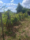 Продава КЪЩА, област Добрич, с. Преселенци • 25500 € • 62980907 5 — Holmes.bg Продава КЪЩА, област Добрич, с. Преселенци • 25500 € • 62980907 5