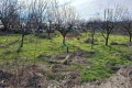 Продава Земеделска земя област Варна , с. Тополи , 3.46 дка | 74182188 — Imoti.com Продава Земеделска земя област Варна , с. Тополи , 3.46 дка | 74182188
