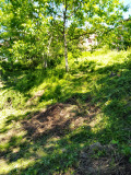 Продава Парцел област Пазарджик , с. Жребичко , 850 кв.м | 33478787 — Imoti.com Продава Парцел област Пазарджик , с. Жребичко , 850 кв.м | 33478787