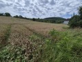 Продава ПАРЦЕЛ, област Велико Търново, с. Сливовица • 36000 € / 70409.88 лв. • 22509173 3 — Holmes.bg Продава ПАРЦЕЛ, област Велико Търново, с. Сливовица • 36000 € / 70409.88 лв. • 22509173 3