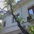 Продава АТЕЛИЕ, ТАВАН, град Варна, ХЕИ • 76700 € / 150012.16 лв. • 77780658 1 — Holmes.bg Продава АТЕЛИЕ, ТАВАН, град Варна, ХЕИ • 76700 € / 150012.16 лв. • 77780658 1