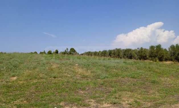Продава ПАРЦЕЛ, Гърция, Халкидики • 220000 € / 430282.60 лв. • 29031959 1 — Holmes.bg Продава ПАРЦЕЛ, Гърция, Халкидики • 220000 € / 430282.60 лв. • 29031959 1