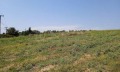 Продава ПАРЦЕЛ, Гърция, Халкидики • 220000 € / 430282.60 лв. • 29031959 8 — Holmes.bg Продава ПАРЦЕЛ, Гърция, Халкидики • 220000 € / 430282.60 лв. • 29031959 8