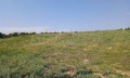 Продава ПАРЦЕЛ, Гърция, Халкидики • 220000 € / 430282.60 лв. • 29031959 4 — Holmes.bg Продава ПАРЦЕЛ, Гърция, Халкидики • 220000 € / 430282.60 лв. • 29031959 4