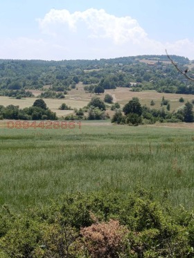 Продава ЗЕМЕДЕЛСКА ЗЕМЯ | Imot.bg — малка снимка 3