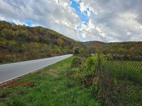 Обява Продава ПАРЦЕЛ,с. Балканец, област Ловеч