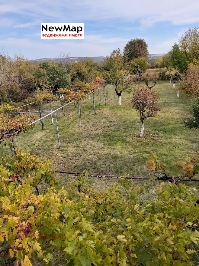 Продава ПАРЦЕЛ, град Плевен, м-т Мъртва долина • 35950 € / 70312.09 лв. • 53447036 1 — Holmes.bg Продава ПАРЦЕЛ, град Плевен, м-т Мъртва долина • 35950 € / 70312.09 лв. • 53447036 1