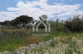 Продава ПАРЦЕЛ, Гърция, Халкидики • 1450000 € / 2835953.50 лв. • 17578981 11 — Holmes.bg Продава ПАРЦЕЛ, Гърция, Халкидики • 1450000 € / 2835953.50 лв. • 17578981 11