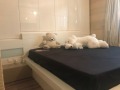 Продава 2-СТАЕН, град Варна, Левски 1 • 173000 € / 338358.59 лв. • 98960219 8 — Holmes.bg Продава 2-СТАЕН, град Варна, Левски 1 • 173000 € / 338358.59 лв. • 98960219 8