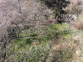 Продава КЪЩА, област София, с. Елешница • 135000 € • 63831457 9 — Holmes.bg Продава КЪЩА, област София, с. Елешница • 135000 € • 63831457 9