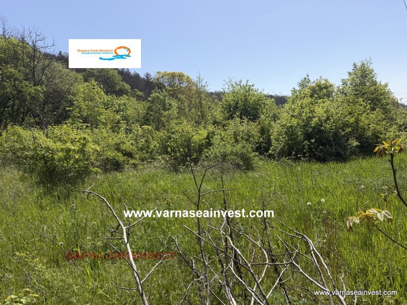 Продава ПАРЦЕЛ, град Варна, м-т Сълзица • 35000 € / 68454.05 лв. • 94113276 1 — Holmes.bg Продава ПАРЦЕЛ, град Варна, м-т Сълзица • 35000 € / 68454.05 лв. • 94113276 1