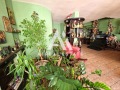 Продава 3-СТАЕН, град Плевен, Идеален център • 240000 € • 86351693 7 — Holmes.bg Продава 3-СТАЕН, град Плевен, Идеален център • 240000 € • 86351693 7
