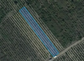 Снимка Продава ЗЕМЕДЕЛСКА ЗЕМЯ
