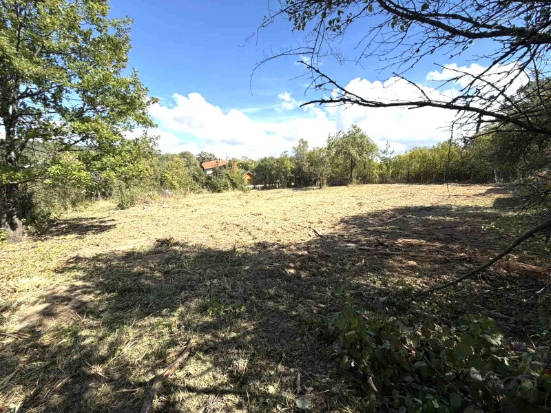 Продава ПАРЦЕЛ, област Перник, с. Планиница • 49900 € • 33119486 1 — Holmes.bg Продава ПАРЦЕЛ, област Перник, с. Планиница • 49900 € • 33119486 1