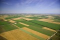 Продава Земеделска земя област Кюстендил , гр. Бобошево , 1.2 дка | 31370153 — Imoti.com Продава Земеделска земя област Кюстендил , гр. Бобошево , 1.2 дка | 31370153
