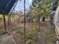 Продава КЪЩА, област Плевен, гр. Кнежа • 18000 € • 86809266 8 — Holmes.bg Продава КЪЩА, област Плевен, гр. Кнежа • 18000 € • 86809266 8
