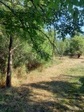 Продава ПАРЦЕЛ, област София, с. Братушково • 77000 € • 42032426 15 — Holmes.bg Продава ПАРЦЕЛ, област София, с. Братушково • 77000 € • 42032426 15