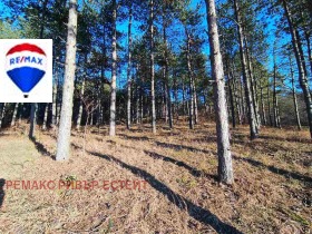 Продажба на земеделски земи в област Русе - изображение 7 