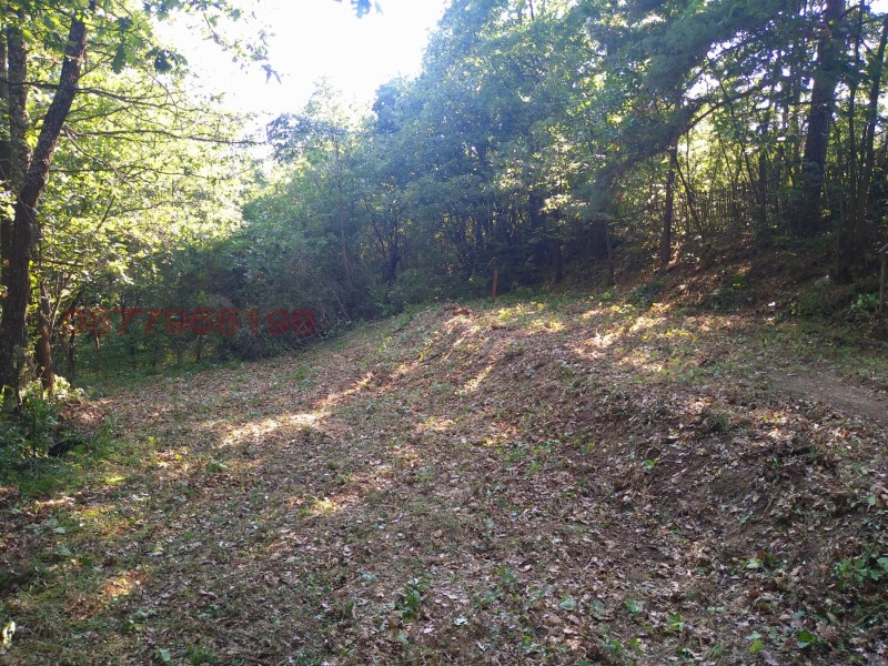 Продава КЪЩА, област София, с. Дръмша • 70000 лв. / 35790.43 € • 23503470 1 — Holmes.bg Продава КЪЩА, област София, с. Дръмша • 70000 лв. / 35790.43 € • 23503470 1