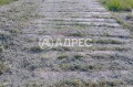Продава ПАРЦЕЛ, област Варна, гр. Белослав • 64999 € • 37184234 3 — Holmes.bg Продава ПАРЦЕЛ, област Варна, гр. Белослав • 64999 € • 37184234 3