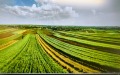 Продава Парцел област Пловдив , с. Бенковски , 67031 кв.м | 61807989 — Imoti.com Продава Парцел област Пловдив , с. Бенковски , 67031 кв.м | 61807989