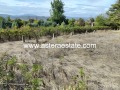 Продава ПАРЦЕЛ, град Благоевград, Първа промишлена зона • 180000 € • 69194597 13 — Holmes.bg Продава ПАРЦЕЛ, град Благоевград, Първа промишлена зона • 180000 € • 69194597 13