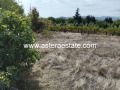 Продава ПАРЦЕЛ, град Благоевград, Първа промишлена зона • 180000 € • 69194597 8 — Holmes.bg Продава ПАРЦЕЛ, град Благоевград, Първа промишлена зона • 180000 € • 69194597 8