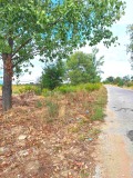 Продава ПАРЦЕЛ, област Пловдив, с. Цалапица • 142000 € • 85078244 1 — Holmes.bg Продава ПАРЦЕЛ, област Пловдив, с. Цалапица • 142000 € • 85078244 1