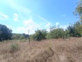 Продава ПАРЦЕЛ, област Габрово, с. Балванците • 44000 € • 51487229 13 — Holmes.bg Продава ПАРЦЕЛ, област Габрово, с. Балванците • 44000 € • 51487229 13