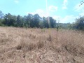 Продава ПАРЦЕЛ, област Габрово, с. Балванците • 44000 € • 51487229 11 — Holmes.bg Продава ПАРЦЕЛ, област Габрово, с. Балванците • 44000 € • 51487229 11