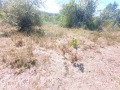 Продава ПАРЦЕЛ, област Габрово, с. Балванците • 44000 € • 51487229 7 — Holmes.bg Продава ПАРЦЕЛ, област Габрово, с. Балванците • 44000 € • 51487229 7