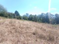 Продава ПАРЦЕЛ, област Габрово, с. Балванците • 44000 € • 51487229 14 — Holmes.bg Продава ПАРЦЕЛ, област Габрово, с. Балванците • 44000 € • 51487229 14
