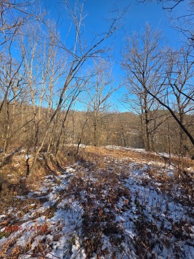 ПАРЦЕЛ, 998 m2 - Holmes.bg ПАРЦЕЛ, 998 m2