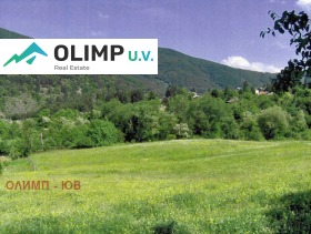 ОЛИМП - ЮВ - изображение 1 