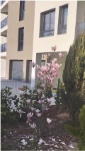 Продава 2-СТАЕН, град София, Студентски град • 188360 € / 368400.14 лв. • 53539923 1 — Holmes.bg Продава 2-СТАЕН, град София, Студентски град • 188360 € / 368400.14 лв. • 53539923 1