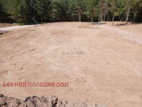 Продава Парцел, с. Дедево