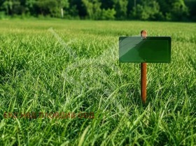 Продава Парцел, с. Болярци