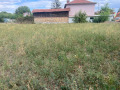 Продава Парцел област Пазарджик , с. Бошуля , 1000 кв.м | 49835960 — Imoti.com Продава Парцел област Пазарджик , с. Бошуля , 1000 кв.м | 49835960