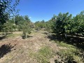 Продава КЪЩА, област Пазарджик, с. Мененкьово • 84000 € / 164289.72 лв. • 52590229 11 — Holmes.bg Продава КЪЩА, област Пазарджик, с. Мененкьово • 84000 € / 164289.72 лв. • 52590229 11