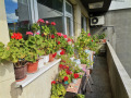 Продава 4-СТАЕН, град Варна, Център • 239700 € • 14169635 1 — Holmes.bg Продава 4-СТАЕН, град Варна, Център • 239700 € • 14169635 1