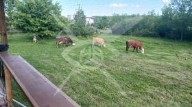 ПАРЦЕЛ, 1 000 m2 - Holmes.bg ПАРЦЕЛ, 1 000 m2