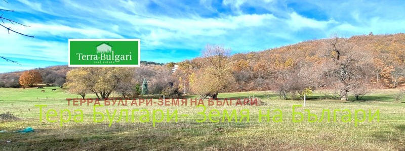 Продава ПАРЦЕЛ, област Перник, с. Боснек • 119998 € / 234695.69 лв. • 72661167 1 — Holmes.bg Продава ПАРЦЕЛ, област Перник, с. Боснек • 119998 € / 234695.69 лв. • 72661167 1