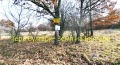 Продава ПАРЦЕЛ, област Перник, с. Боснек • 119998 € / 234695.69 лв. • 72661167 17 — Holmes.bg Продава ПАРЦЕЛ, област Перник, с. Боснек • 119998 € / 234695.69 лв. • 72661167 17